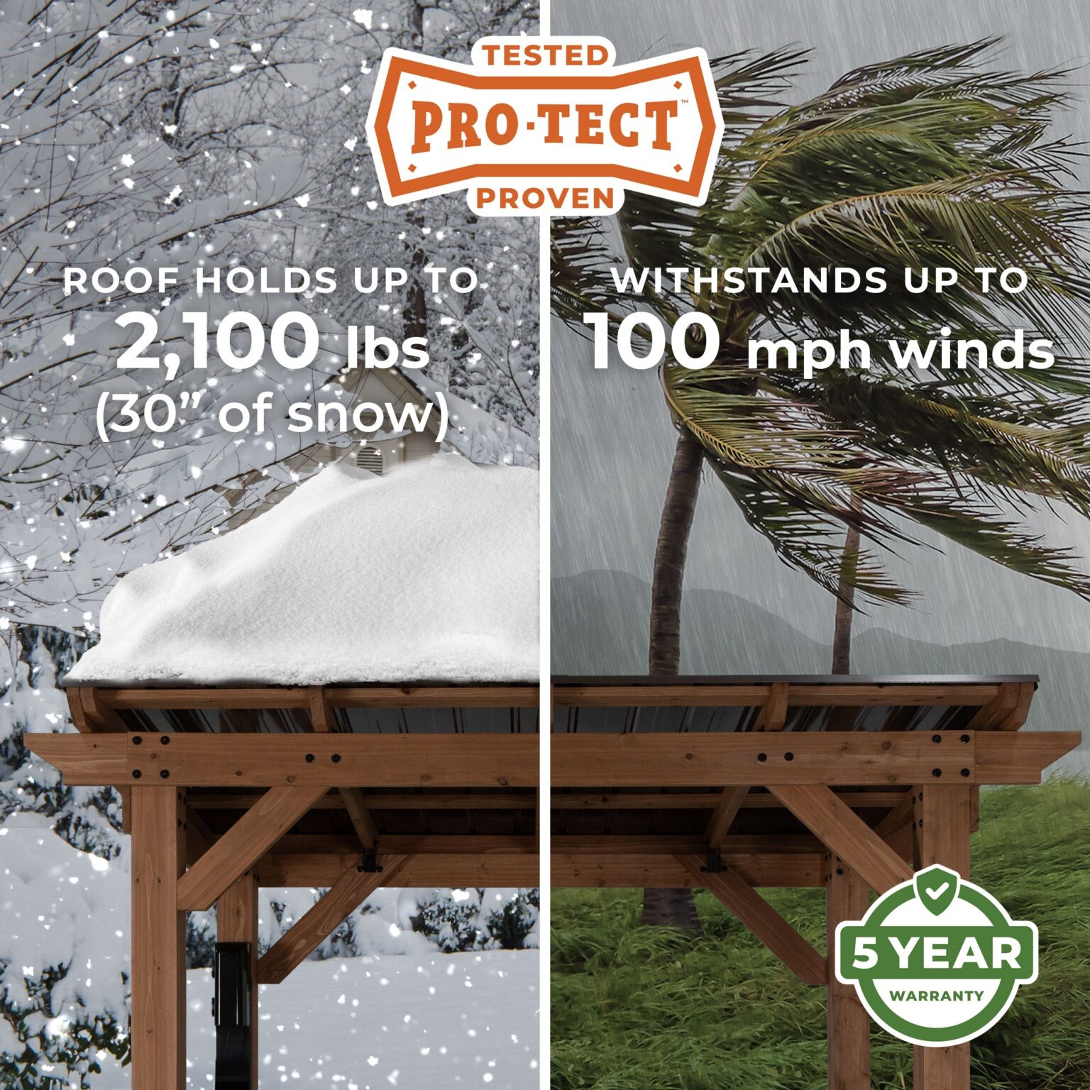 Pro-Tect Image