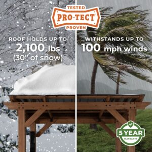 Pro-Tect Image