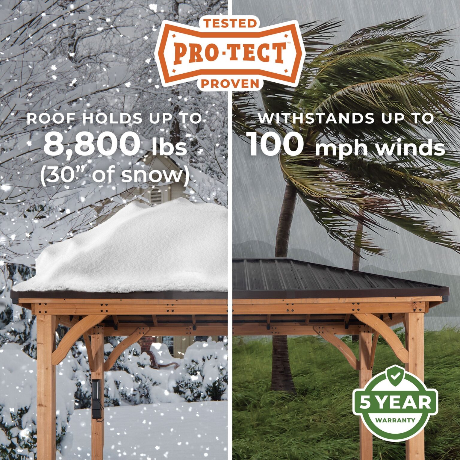 Pro-Tect Image
