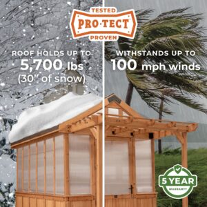 Pro-Tect Image