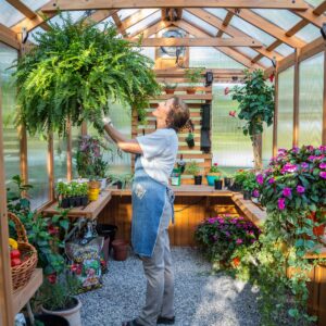 11x7 Bellerose Greenhouse Interior