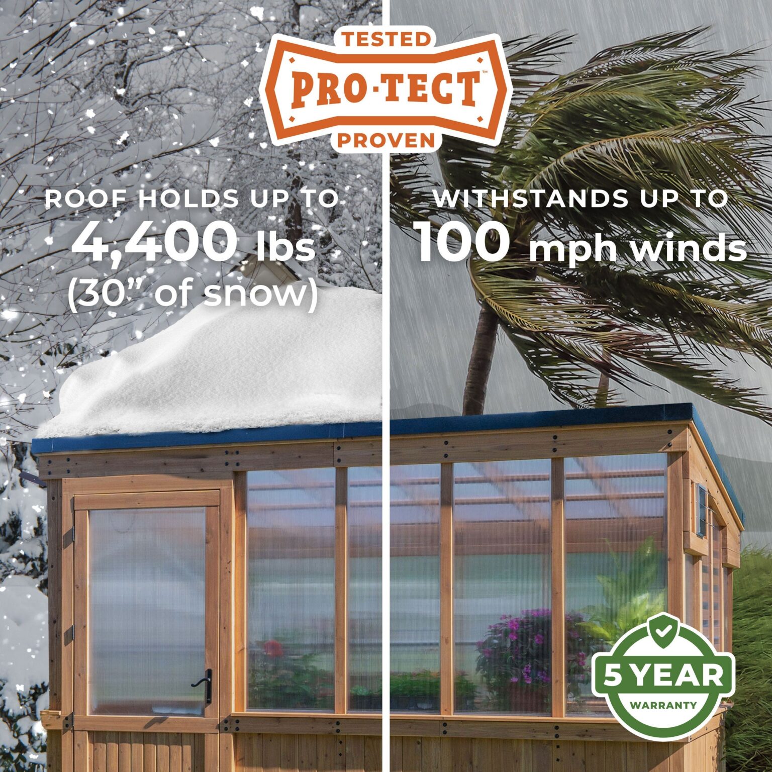 Pro-Tect Image