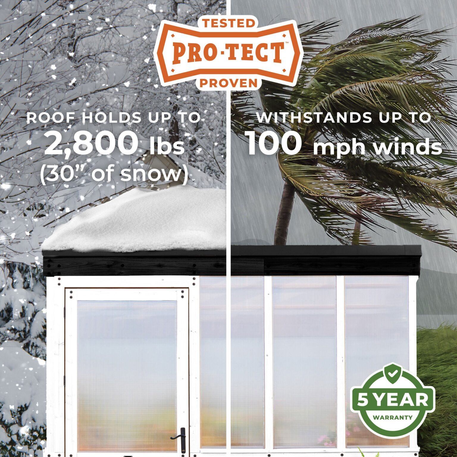 Pro-Tect Image
