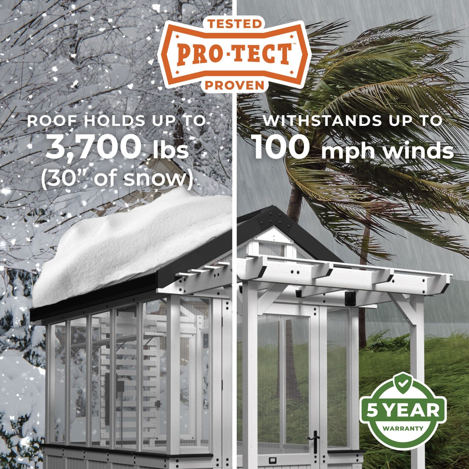 Pro-Tect Image