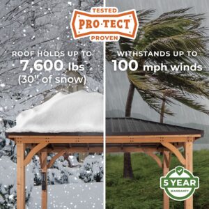 Pro-Tect Image
