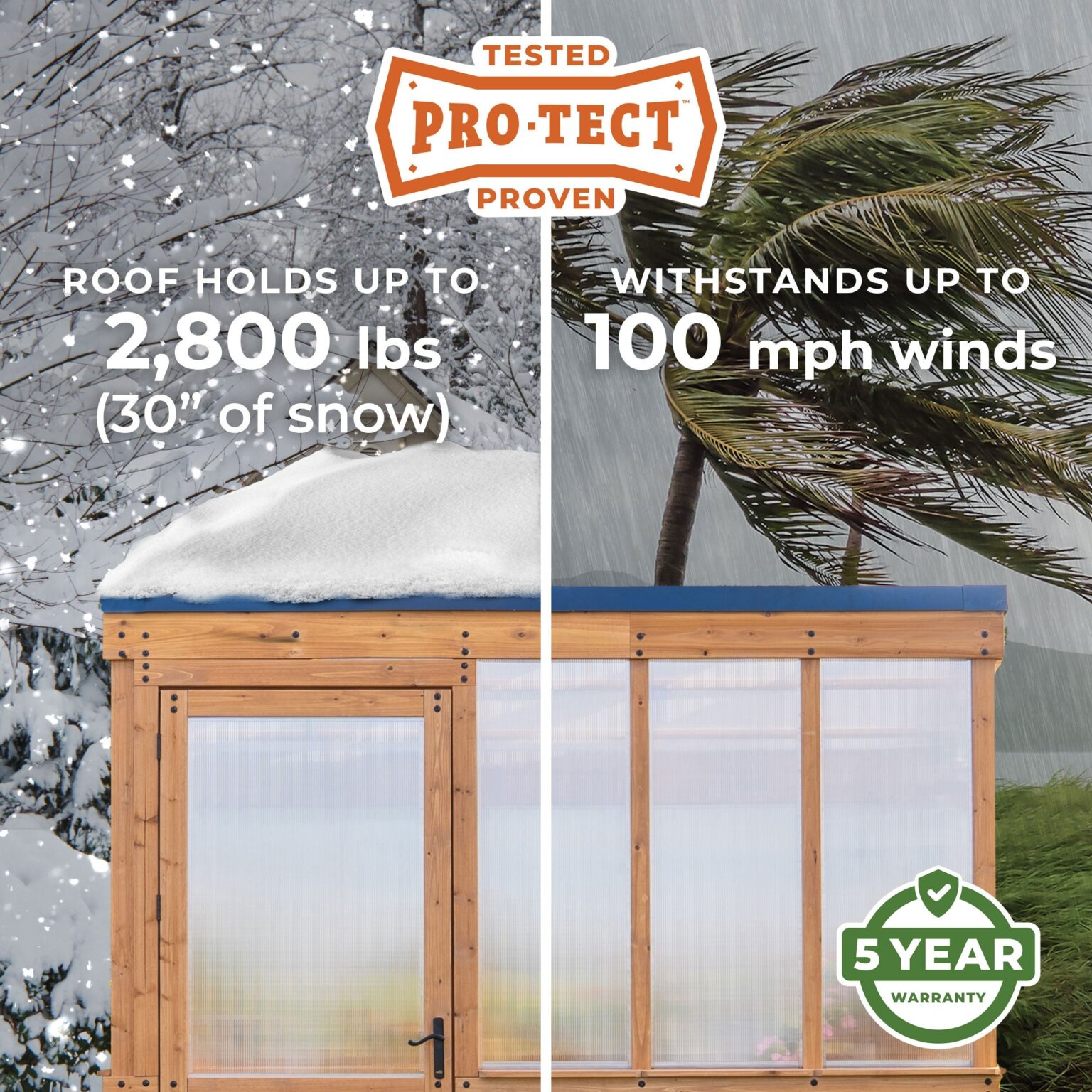 Pro-Tect Image