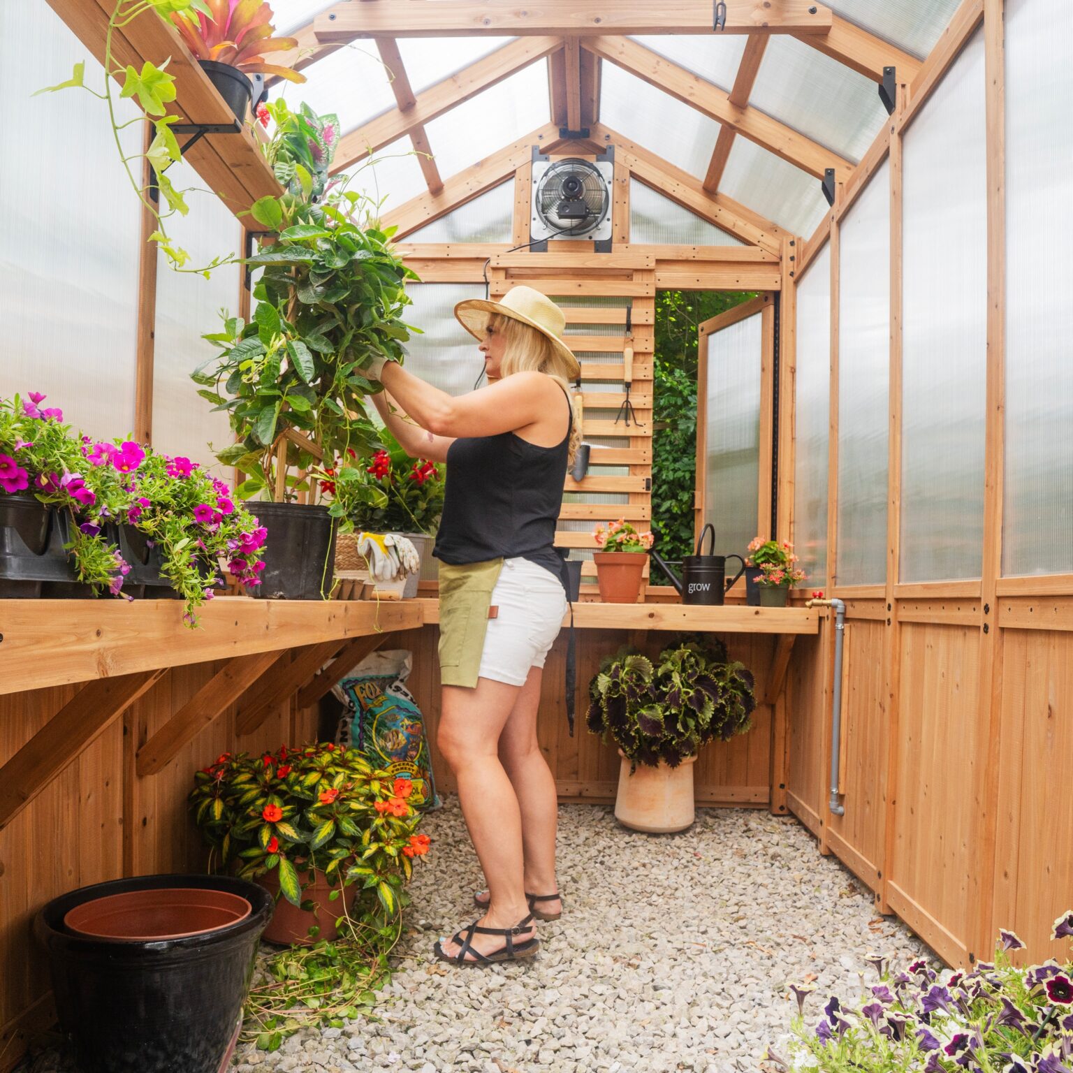 9x6 Bellerose Greenhouse