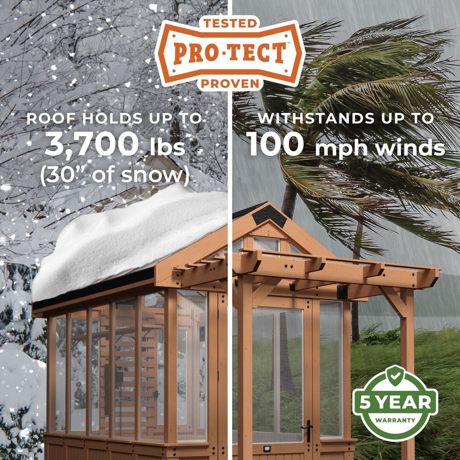 Pro-Tect Image