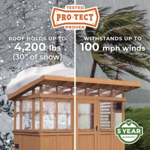 Pro-Tect Image