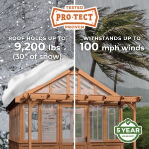Pro-Tect Image