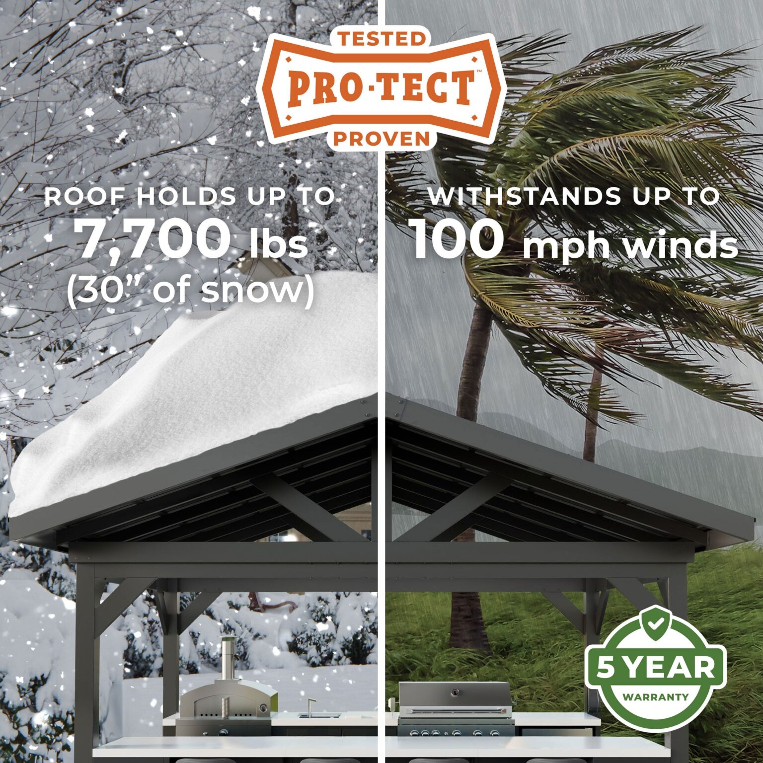 Pro-Tect Image