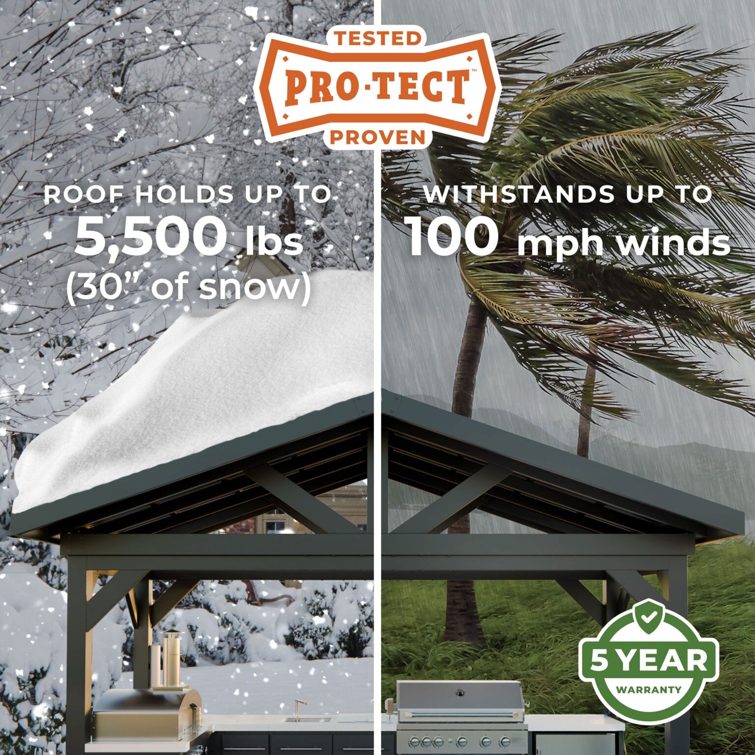 Pro-Tect Image