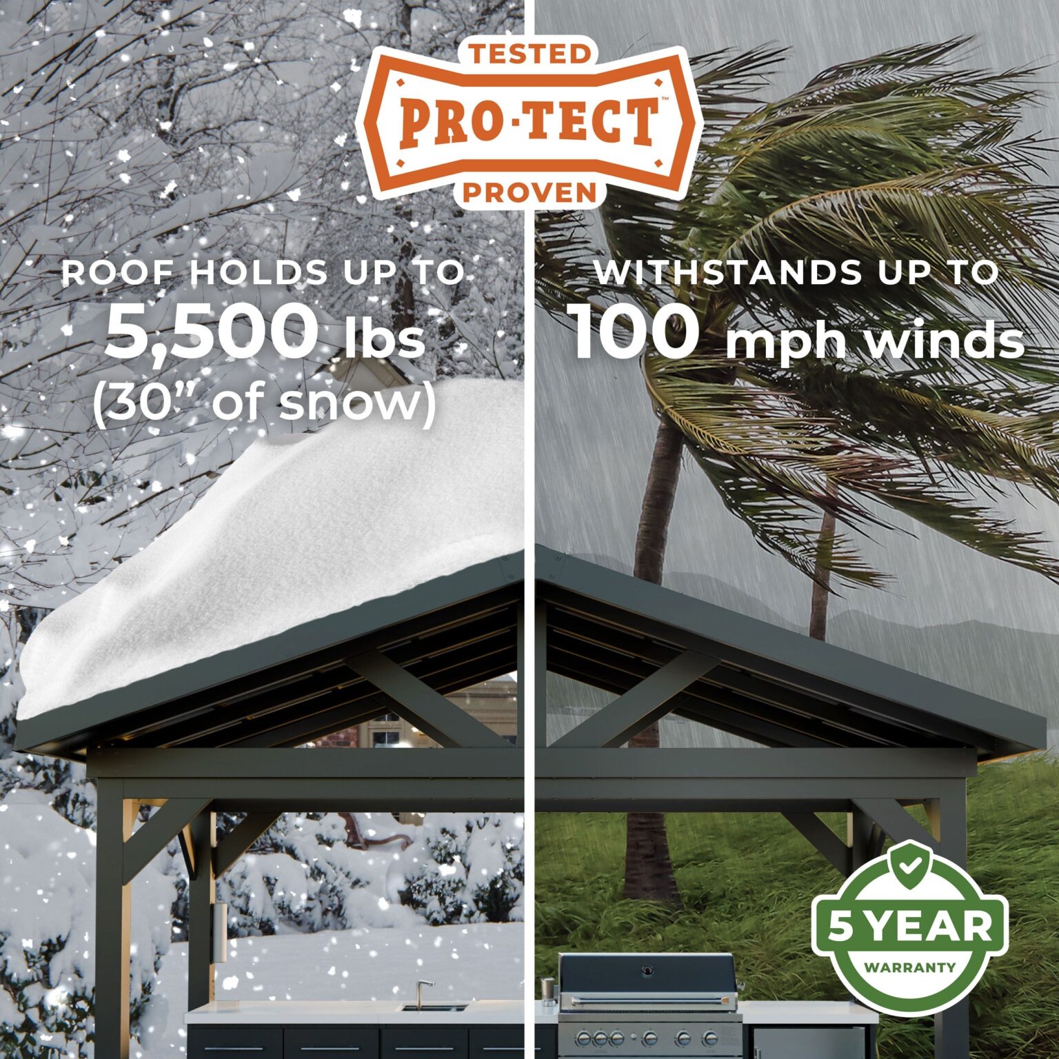 Pro-Tect Image