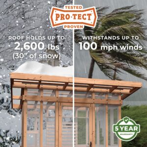Pro-Tect Image