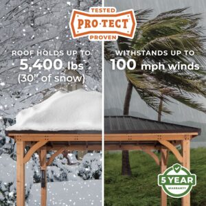 Pro-Tect Image
