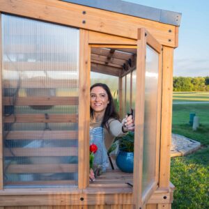 opening a window in the willow greenhouse