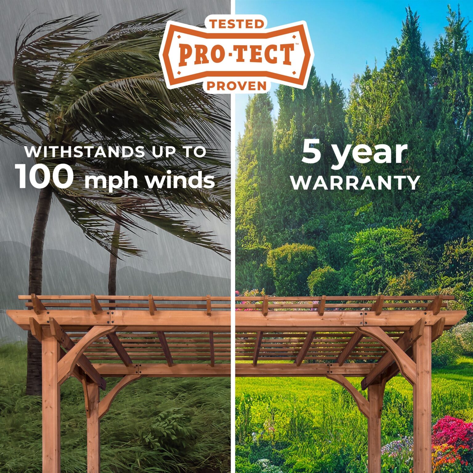 Pro-Tect Image