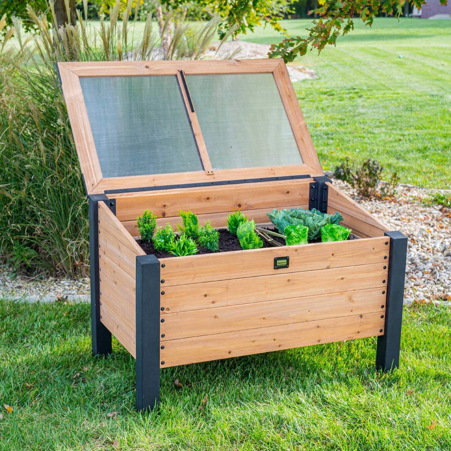 Aggie Cedar Cold Box Open Lid